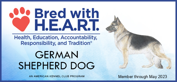 AKC Bred with H.E.A.R.T